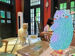 -猫色咖啡·猫咖