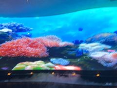 -唐宫足道·SPA·住宿24H会所(木渎店)