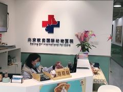 -欧奕国际动物医院