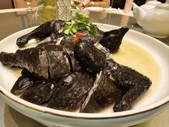 -沙龙酒家