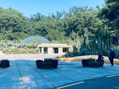 -深圳仙湖植物园