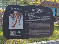 -横道河子东北虎林园
