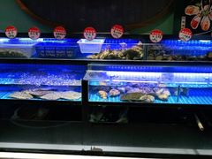 水产区-鸽子侯·家宴·平价海鲜(市图书馆店)