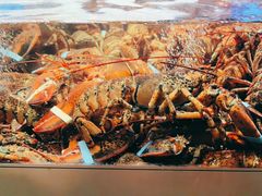 -雍容荟活龙虾自助餐(IFS黑金店)