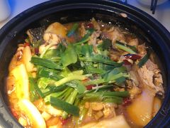 乾隆鱼头-桂满陇天书(南京德基旗舰店)