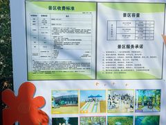 -黄海国家森林公园