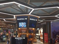 -日上免税店(三径路t3店)