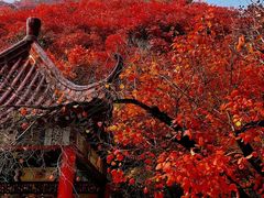 -石门坊