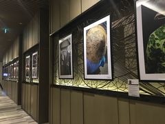 -芽庄洲际酒店自助餐厅