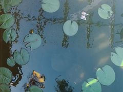 -小仙居·农家宴烤羊· 农庄