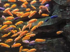 -多彩贵州城极地海洋世界