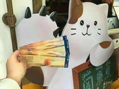 -贝壳梦幻世界