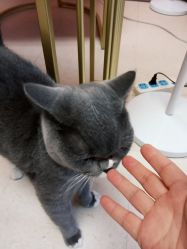 -Pink You美甲美睫纹绣定制中心