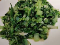 清炒青菜碎-金豆角砂锅焖面(安贞店)