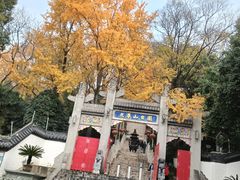 -九华山公园