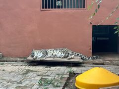 -青藏高原野生动物园