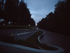 -宝安西湾红树林湿地公园