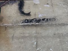 -锅老头铁锅炖•大锅蒸汽海鲜(韩乐坊店)