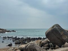 -广东惠东海龟国家级自然保护区