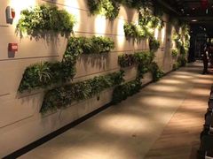 -威尔仕健身·游泳(中港汇店)