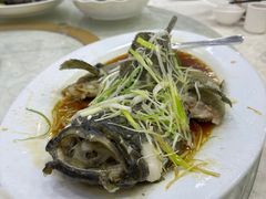 -凤城礼记鱼翅海鲜酒家(新马路总店)