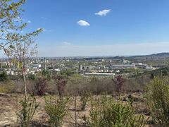 -白水寺森林公园