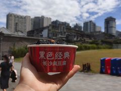 -黑色经典臭豆腐·湖南特产(坡子街特产局店)