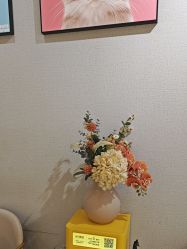 -洗脸猫·洗脸吧