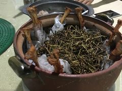 茶皇骨-荷香居(洞企石路店)