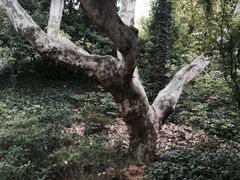 府山公园西大门-府山公园