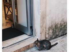 -布德瓦老城