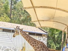 -泉州海丝野生动物世界