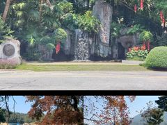 -广州市流溪河国家森林公园