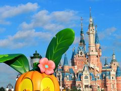 -上海迪士尼度假区