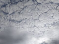 -时光花园(白鹭洲店)