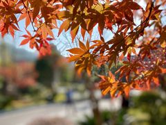 -剑河仰阿莎温泉小镇