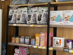 -糯米喵星人总部直营旗舰店·猫舍·幼猫出售