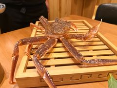 -鮨桐日本料理(望京店)