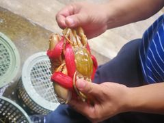 梭子蟹-四海之家(蛇口店)