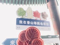 -那家小馆•北京菜•烤鸭(香山店)