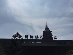 -听松楼·花园酒店·自助餐厅(红梅公园店)