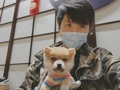 -逗柴咖啡屋·狗咖猫咖宠物桌游