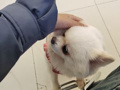 -怪兽屋·羊驼·猫咖·狗咖(俊华广场店)