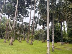 -中国科学院西双版纳热带植物园