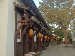 -林泷记·菜饭酒馆·秫香宴