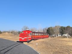 -径山花海