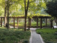 -徐家汇源景区-衡山公园