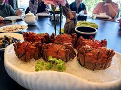 -同庆楼(华强吾悦广场店)