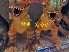 -TOYSRUS玩具反斗城(郑州熙地港店)
