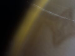 -熊记虾王·小龙虾(东晓南店)
